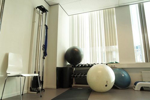 Fysiotherapie